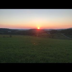 Meet your Posher, Paul